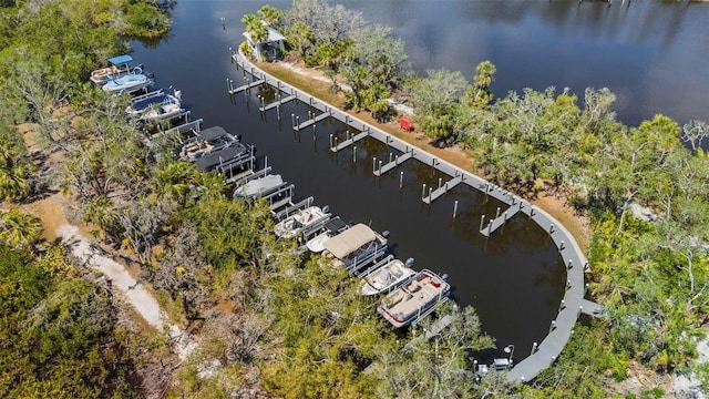 bird's eye view of a large body of water and a marina