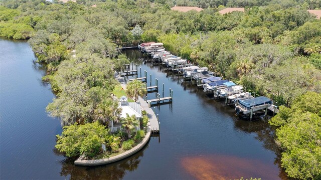 drone / aerial view of a heavily wooded area and a nearby body of water