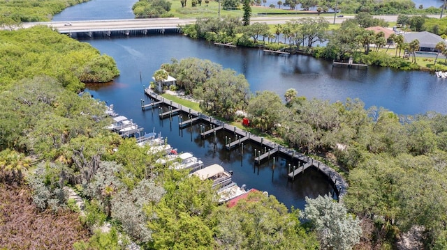 aerial view of a nearby body of water, a notable bridge, and a tree filled landscape