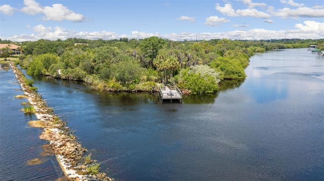 water view featuring a forest