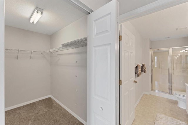 3007 Live Oak Ln, Palmetto, FL 34221 - view of walk in closet