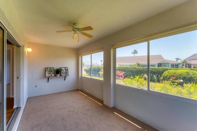 3007 Live Oak Ln, Palmetto, FL 34221 - unfurnished sunroom featuring carpet flooring