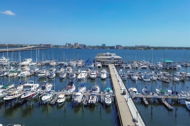 3007 Live Oak Ln, Palmetto, FL 34221 - water view with a marina and a dock
