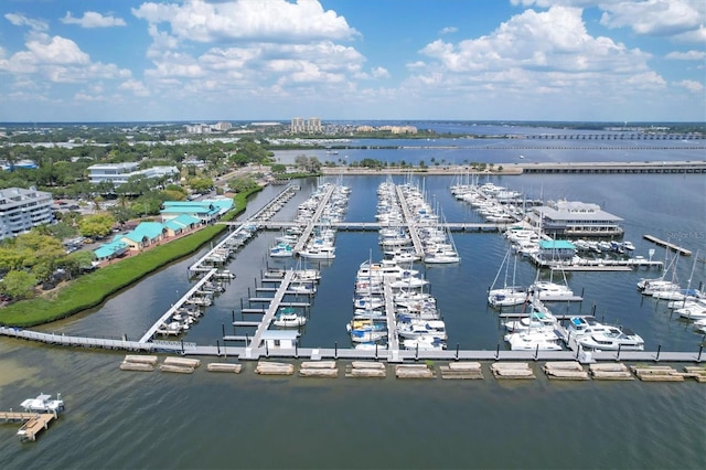 3007 Live Oak Ln, Palmetto, FL 34221 - drone / aerial view of numerous boat docks and a nearby body of water