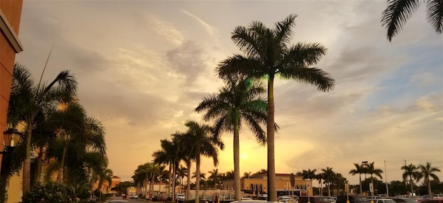 1004019713 Sarah Ter, North Port, FL 34286