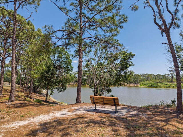 12014 Beeflower Dr, Lakewood Ranch, FL 34202 - water view