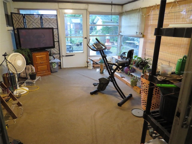 9835 El Camino Real Ave, Port Richey, FL 34668 - workout room with carpet flooring
