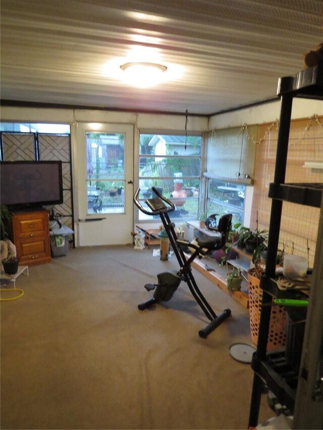 9835 El Camino Real Ave, Port Richey, FL 34668 - exercise area with carpet floors