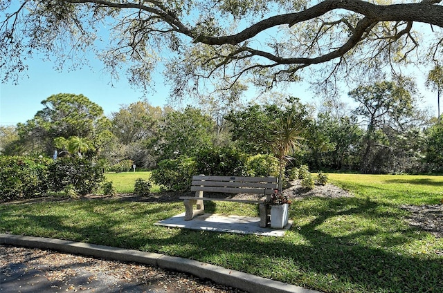 7876 Eagle Creek Dr, Sarasota, FL 34243 - view of property's community featuring a lawn and view of wooded area