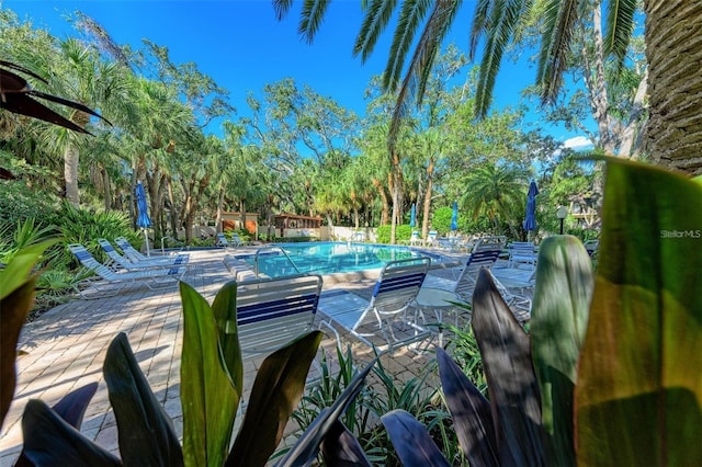 view of pool