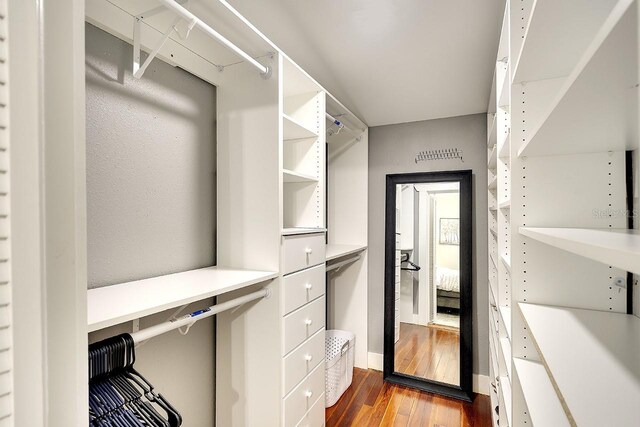 1814 6th Ave W, Bradenton, FL 34205 - walk in closet with dark wood finished floors