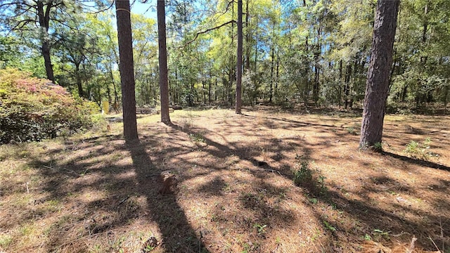 view of local wilderness featuring a forest view