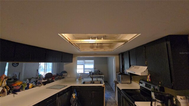 kitchen with exhaust hood, dark cabinets, a sink, and electric stove