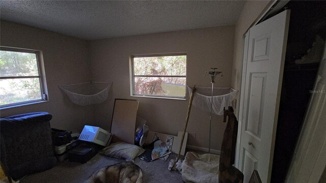 carpeted bedroom featuring a textured ceiling