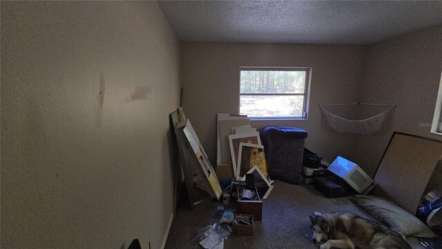 carpeted office space featuring a textured ceiling