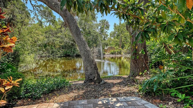 3605 Quail Hollow Ln, Bradenton, FL 34210 - water view
