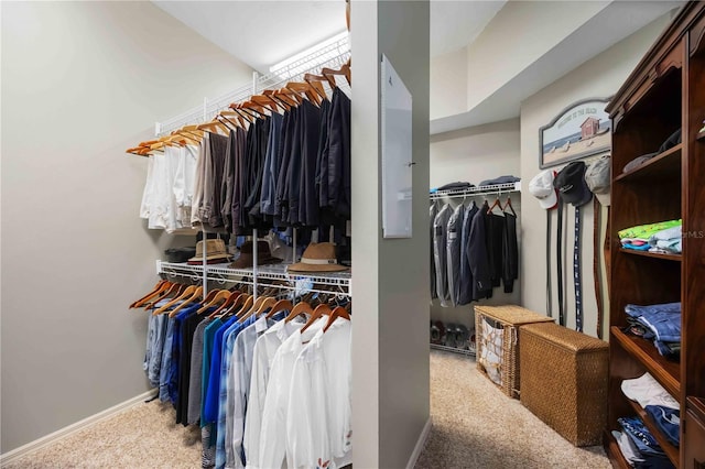 spacious closet with carpet flooring