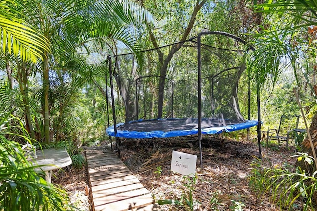 view of yard featuring a trampoline