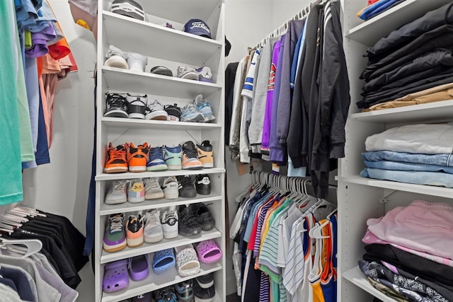view of spacious closet