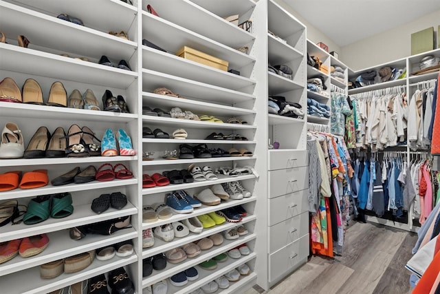 walk in closet featuring wood finished floors