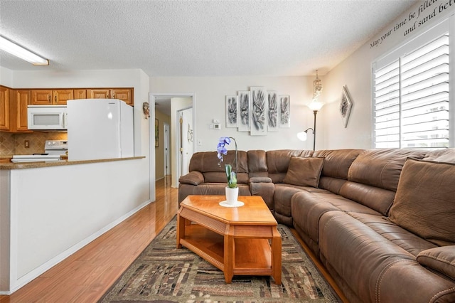 living room featuring baseboards, a textured ceiling, and light wood-style flooring
