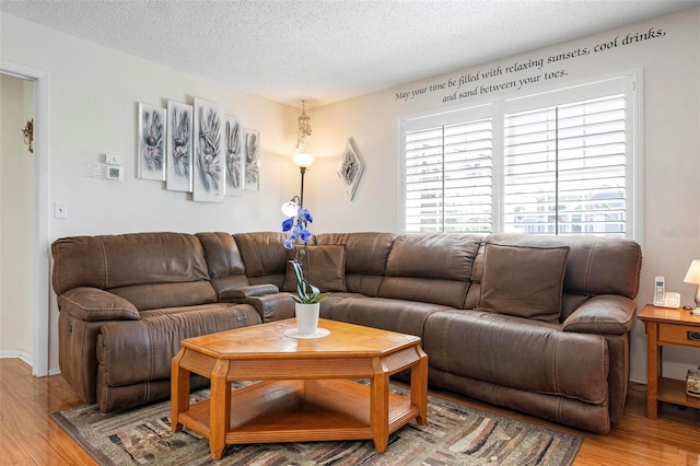 living area featuring baseboards, a textured ceiling, and wood finished floors