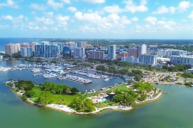 drone / aerial view with a water view and a city view