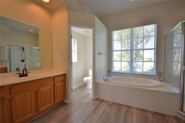 bathroom featuring plenty of natural light, a shower stall, a garden tub, and vanity