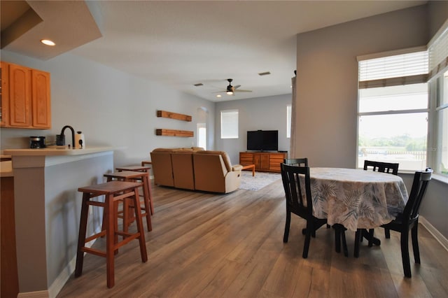 dining space with a ceiling fan, wood finished floors, and a healthy amount of sunlight