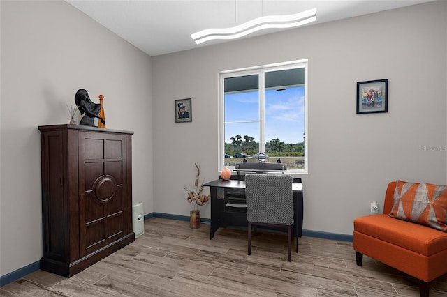 1116 406th Ct E, Myakka City, FL 34251 - photo 10