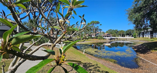 4415 45th Ave W Unit 203, Bradenton, FL 34210 - view of water feature