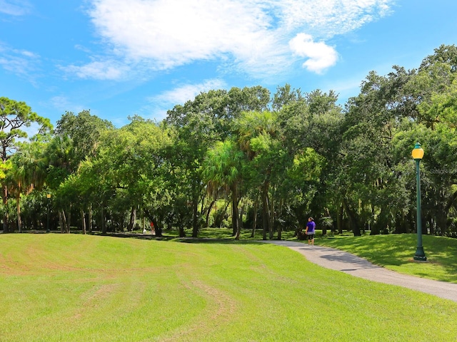 2246 Webber St, Sarasota, FL 34239 - surrounding community featuring a yard and view of wooded area