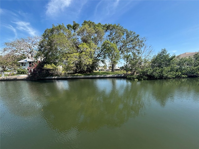 4411 Dolphin Ln, Palmetto, FL 34221 - water view