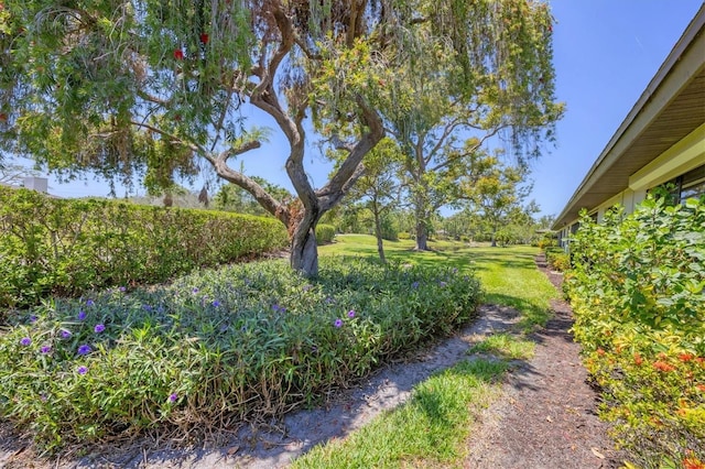 7374 Royal Birkdale Dr Unit 15D, Sarasota, FL 34238 - view of yard