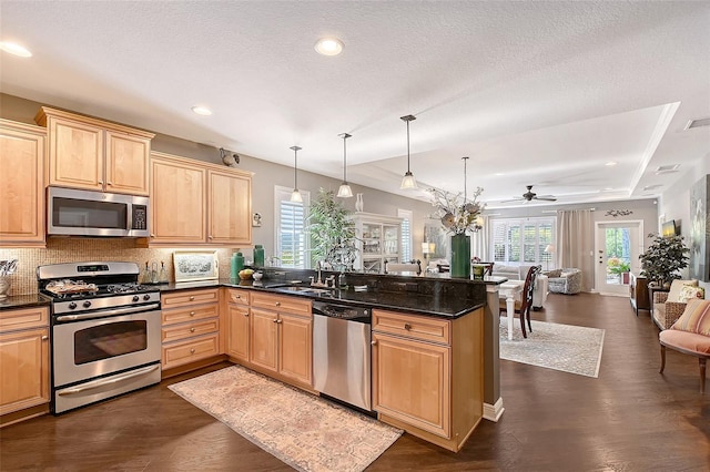 12133 Forest Park Cir, Bradenton, FL 34211 - kitchen featuring stainless steel appliances, open floor plan, a sink, a peninsula, and backsplash