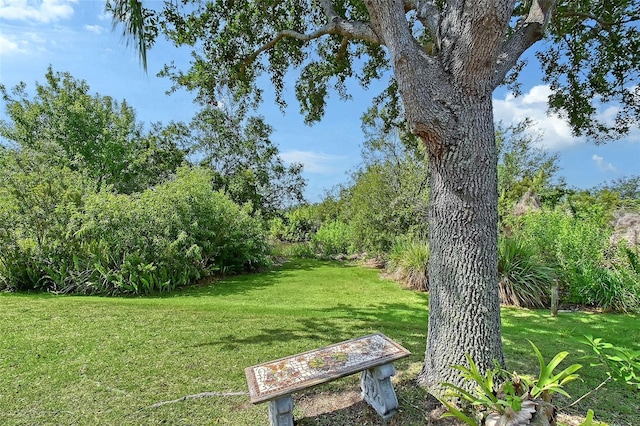 12133 Forest Park Cir, Bradenton, FL 34211 - view of grassy yard