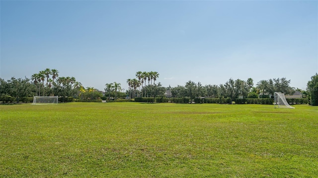 12133 Forest Park Cir, Bradenton, FL 34211 - view of yard with an area for soccer
