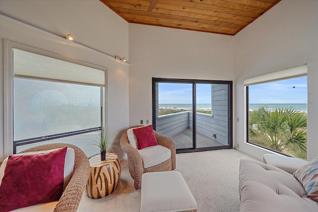 sunroom / solarium with a water view and lofted ceiling