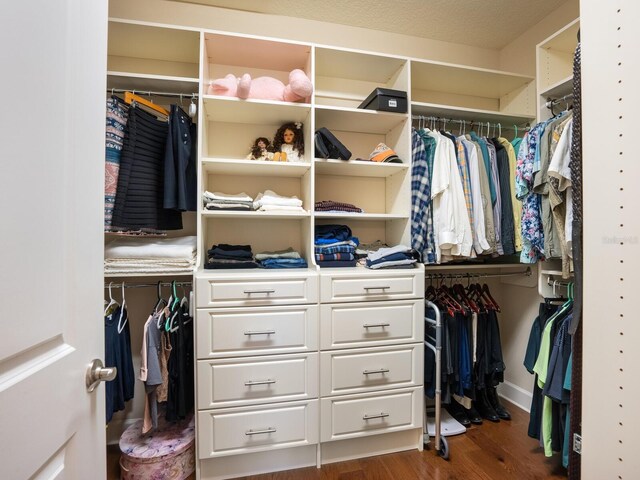 2525 Vaccaro Dr, Sarasota, FL 34231 - spacious closet with dark wood-style floors