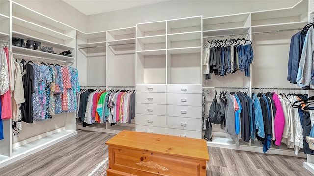 8713 Mangilli Rd, Sarasota, FL 34238 - walk in closet featuring wood finished floors