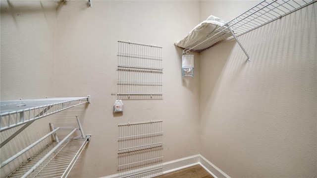 walk in closet featuring wood finished floors