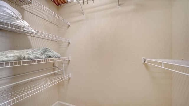 view of walk in closet