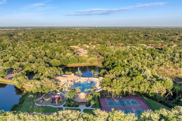 birds eye view of property featuring a water view and a forest view