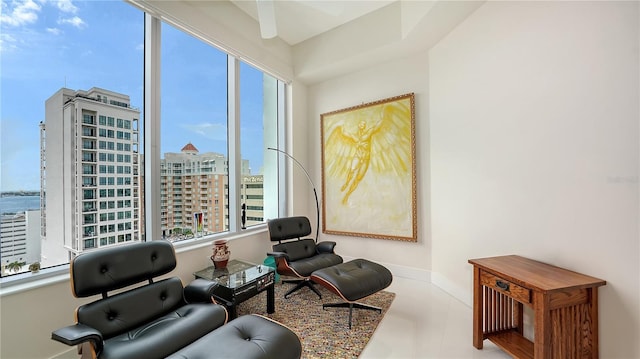 living area featuring baseboards and a city view