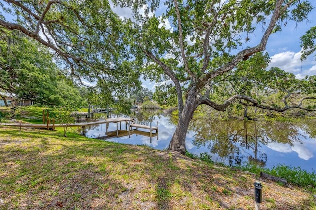 dock featuring a water view