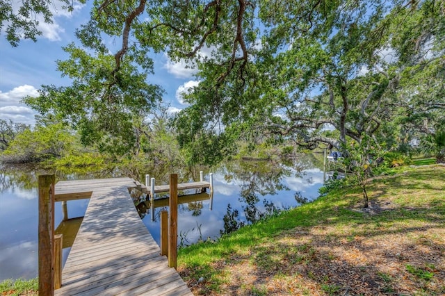 dock featuring a water view