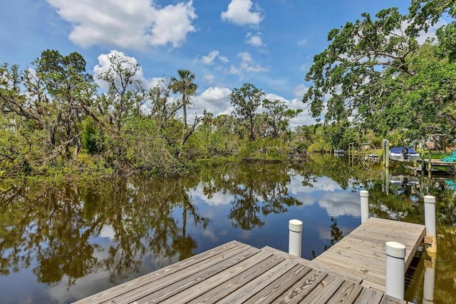 dock with a water view