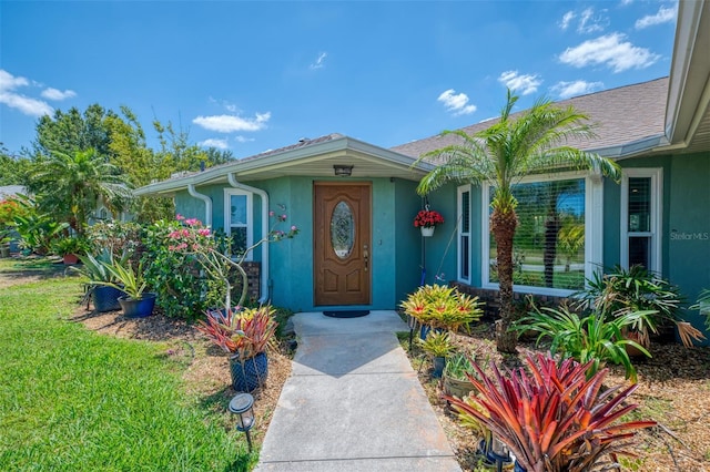 view of exterior entry with stucco siding and a yard