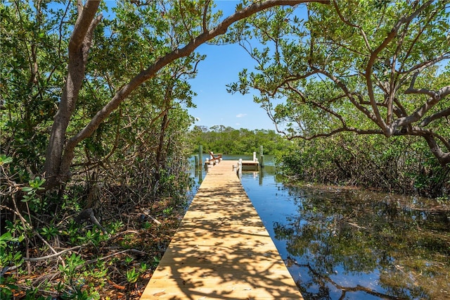 1680 Lemon Bay Dr, Venice, FL 34293 - dock with a water view and a view of trees