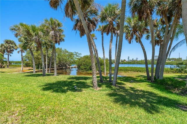1680 Lemon Bay Dr, Venice, FL 34293 - view of green lawn featuring a water view
